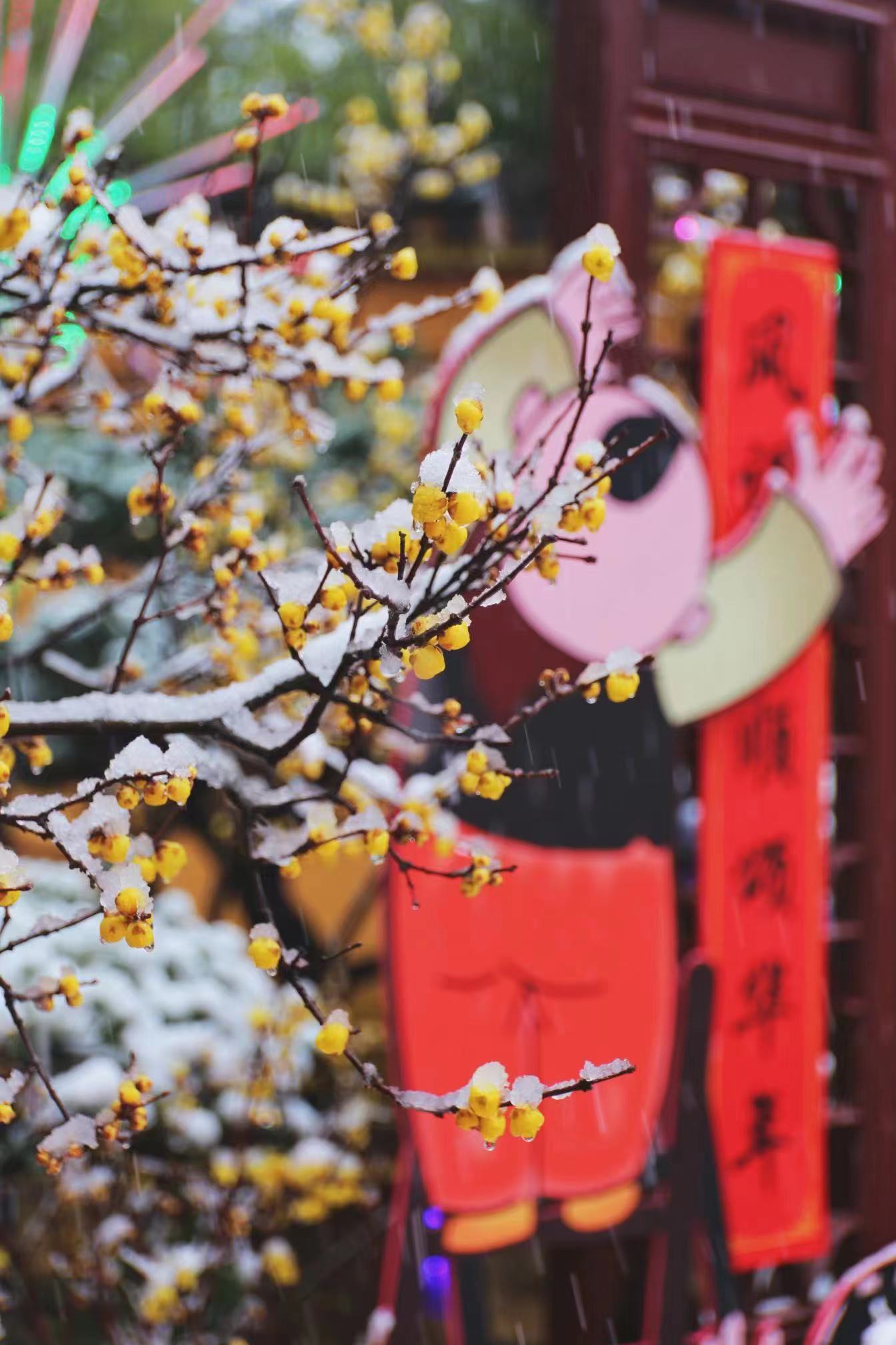 https://region-jiangsu-resource.xuexi.cn/image/1006/process/1a18310e8043440da82cb3fc7746c37c.jpg