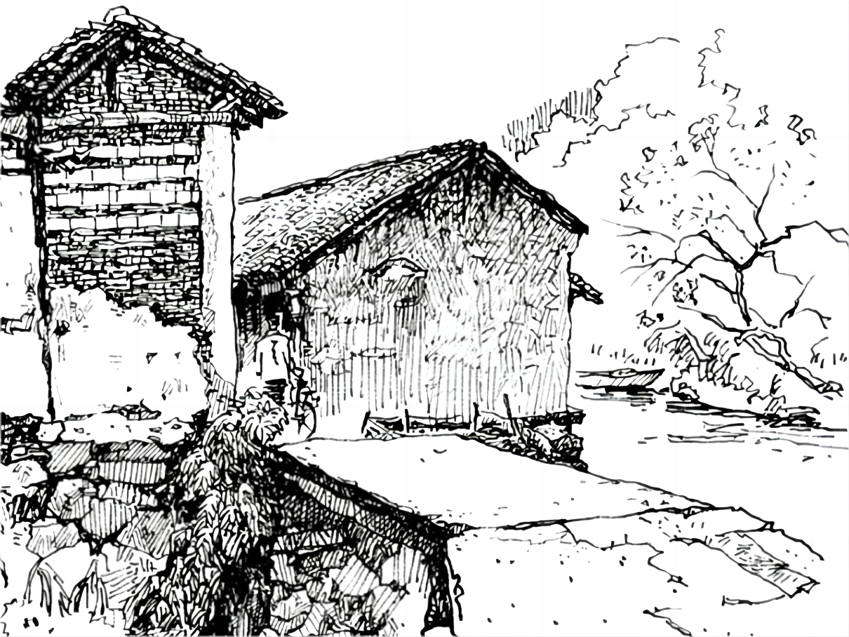 插图作者：邓卫平